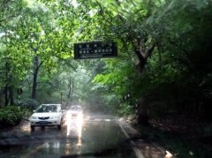 中山陵龙脖子路灵异事件，龙脖子路分尸案是真的吗？