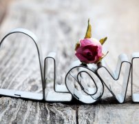 猪猴不到头的来历揭秘，猪猴不到头是真的吗？