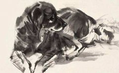 好运连不停的三大生肖，天下最富贵的三大生肖