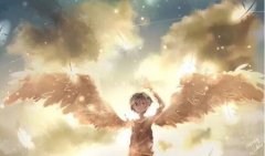 这个世界有命运这一说法吗？人的命运是由什么决定的