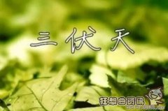 三九三伏的开始时间分别是哪天，夏练三伏,冬练三九是什么意思?
