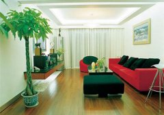 客厅风水哪个位最招财？招财树有哪些风水布置