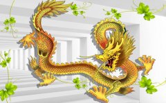 龙吸水拍到真龙慢放图片，龙吸水是什么原理