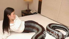 广西挖掘机挖出人头蛇，人头蛇身怪物震惊全球