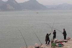 活讯钓鱼好还是死讯好？钓鱼为什么要用蓝光灯