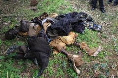 盗墓人说的大粽子真的存在吗？为什么不能看女粽子