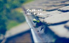 金牛座老公为什么会出轨？真相源于缺爱