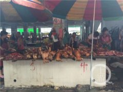 玉林为什么吃狗肉？玉林狗肉节流泪狗图片