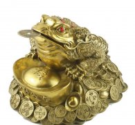 最灵验的催财风水秘法，催财风水应该怎样布局？