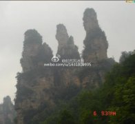 葬风水宝地多久才灵？坟墓风水宝地形状都是怎样的