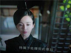 醉玲珑湛王府的黑衣女武聘婷是什么人？武聘婷和元湛是什么关系
