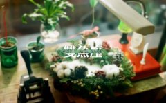 双鱼座老公婚后容易出轨吗？双鱼男变心了该如何挽回