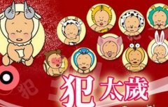 犯太岁是按阴历还是阳历？冲太岁和犯太岁有什么区别