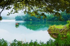 如何让仙家下来说话？打哈欠是什么仙家来了？