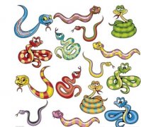 路上遇到蛇是吉还是凶，路上横蛇挡路有什么寓意