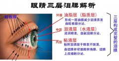 泪膜是人人都有么，张国荣的眼睛的泪膜是什么样的