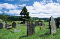 坟上长树意味着什么，坟上种什么树对后代好？