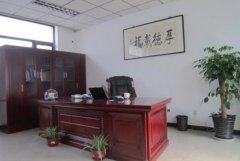 办公桌身后墙上挂什么好？适合放什么植物？