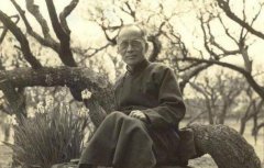 胡兰成的八个女人都有谁，他年轻时候的图片来了