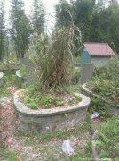 祖坟上长草打灭草剂好不好，祖坟上不长草是不是不好？