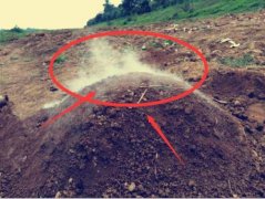 青烟是指什么颜色的烟，传说坟上的青烟是怎么形成的？