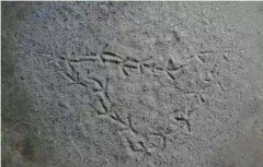 回煞的脚印是真的吗，脚印怎么来的怎么解释？