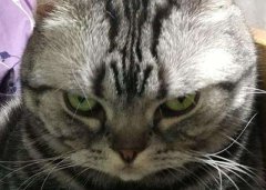 鬼为什么怕煞气重的人，怎么看出一个人有煞气？