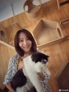 宋楠惜和孙俪有点像对比照，她和宋丹丹是什么关系？