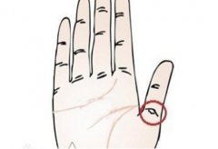 佛眼纹到底在什么位置，佛眼纹和凤眼纹的区别是什么？