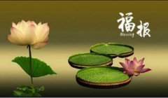 福报是怎么修来的？真正修来的福报是什么有哪些？