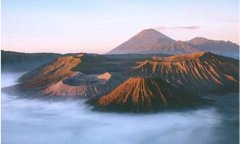 印尼爪哇谷洞内部图片，里面到底有什么破解了吗？