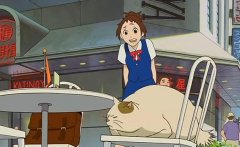 佛教说人养猫的缘分，猫喜欢接近有福报的人真的吗？