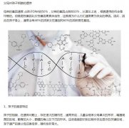 传说儿子长相随妈有福气吗？儿子长相随妈的几率多高