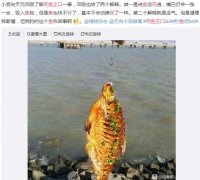 钓鱼钓到死鱼正口的民间传闻，死鱼是怎么上钩的？
