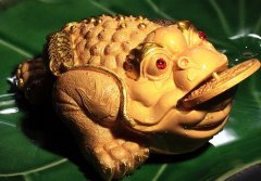 传说蛤蟆进家预示着什么，蛤蟆为什么是聚财金蟾？