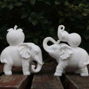 一对小象怎么摆放，一对小象代表什么意义？