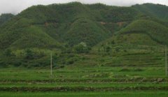 传说龟蛇守水口的阴宅风水，龟蛇守水口必定出贵人真假？